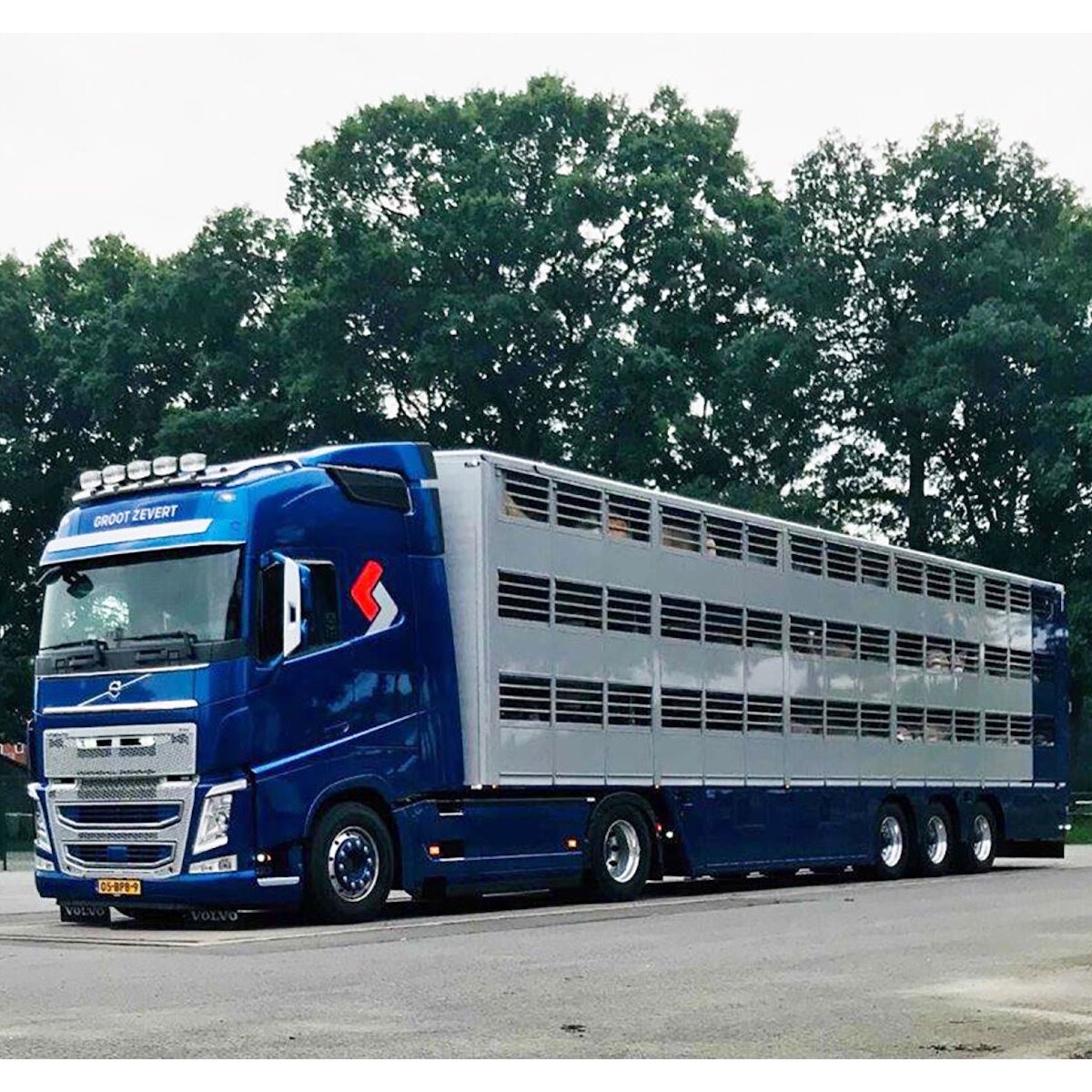 01-4259 - WSI - Volvo FH5 Globetrotter mit 3achs Tiertransportauflieger - Groot Zevert - NL