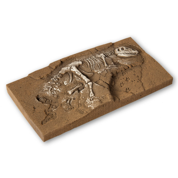 58614 - NOCH - Dinosaurier T-Rex Ausgrabung
